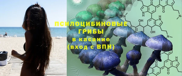 меф Арсеньев